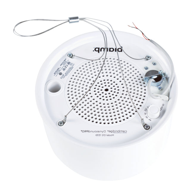 Dynasound DS1339 Caracteristici principale 