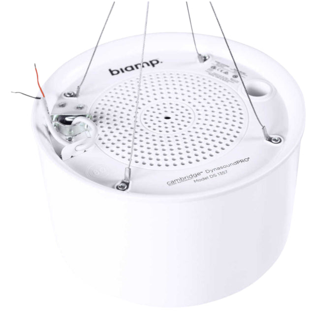 Dynasound DS1357 Caracteristici principale 