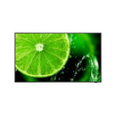 Display profesional LCD 16/7 Sharp/NEC E498 49” 1 ELTEK Store